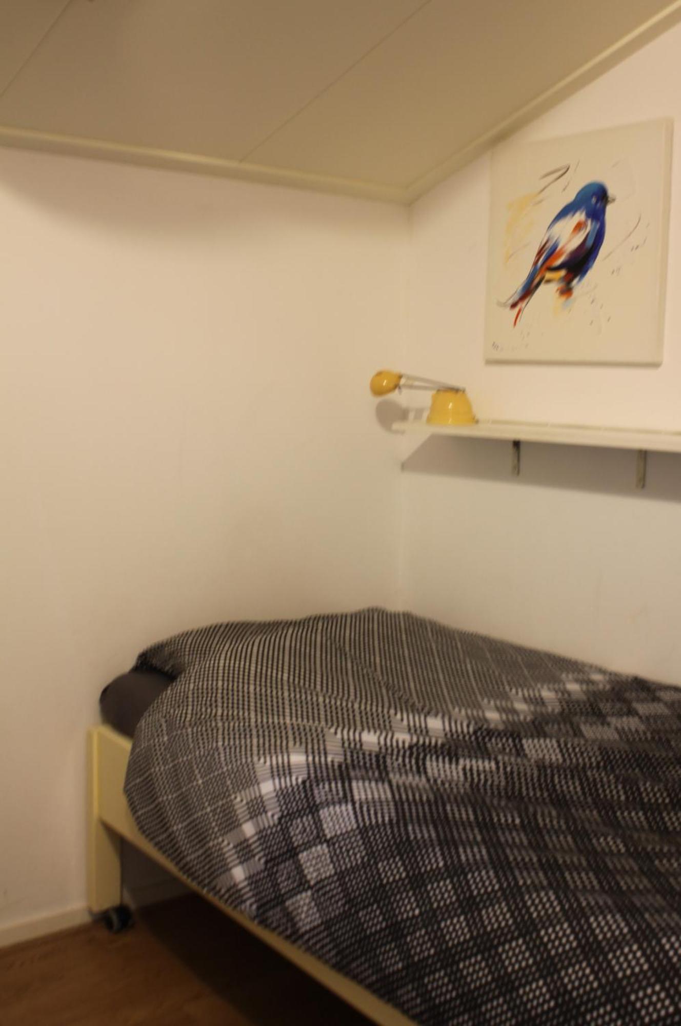 Boerenkiel Vakantiehuisjes De Kiel Extérieur photo